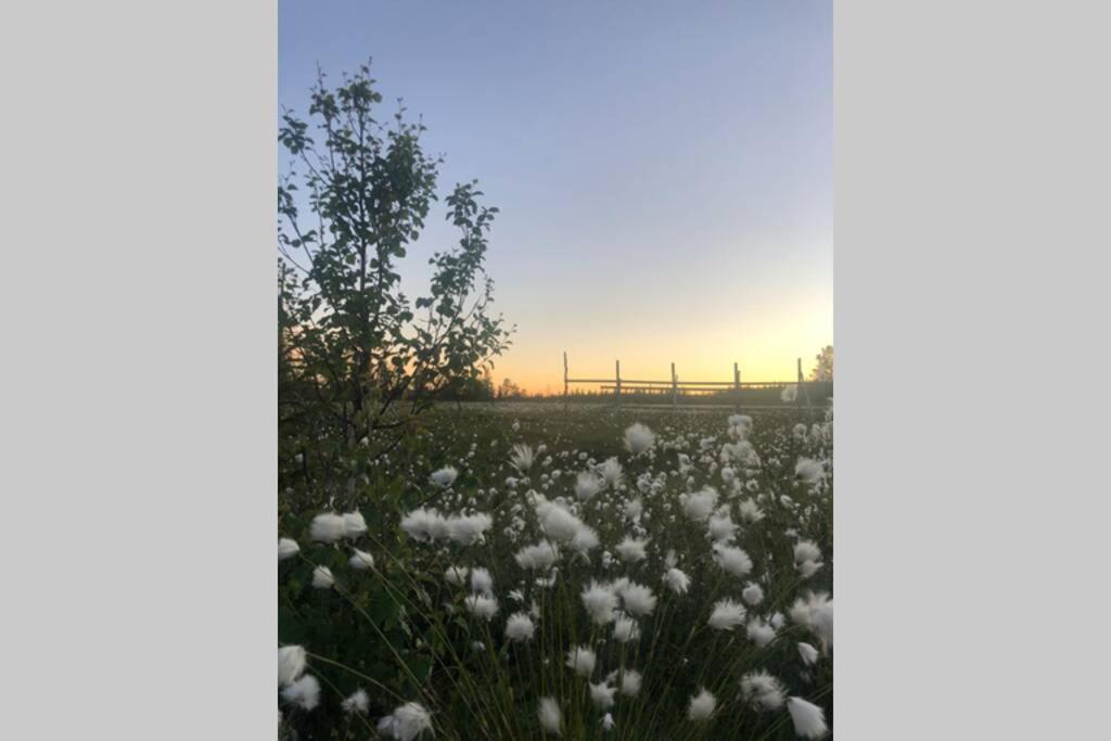 Baggarden Fjaellby, Messlingen别墅 外观 照片