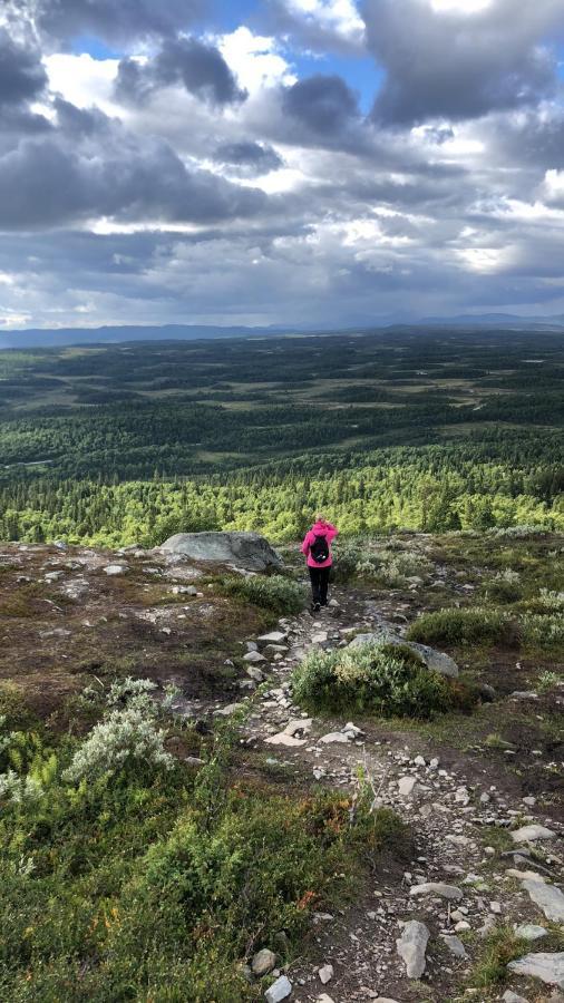 Baggarden Fjaellby, Messlingen别墅 外观 照片